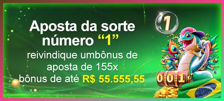 Login PP11 com acesso oficial, saldo e dados de conta